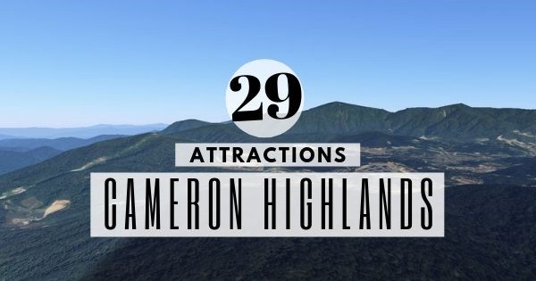 29 Attractions In Cameron Highlands Travelswithsun 