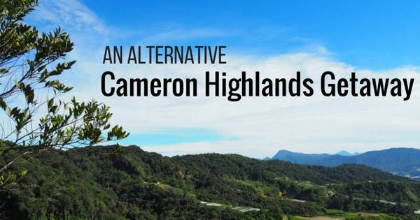An Alternative Cameron Highlands Getaway