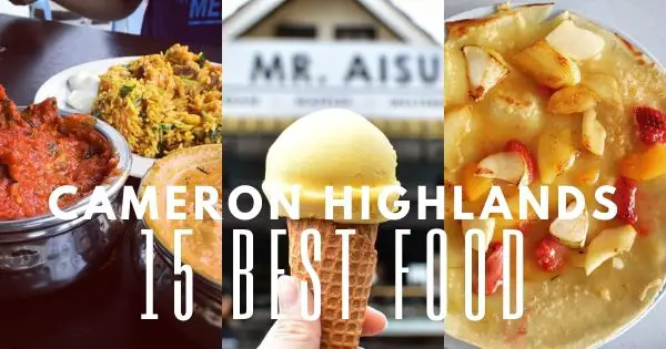 15 Best Food In Cameron Highlands 