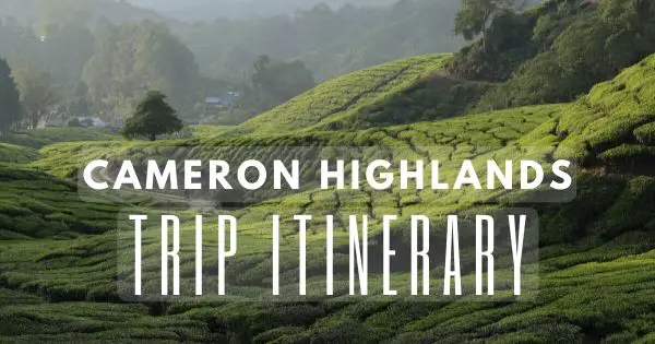 Cameron Highlands Trip Itinerary