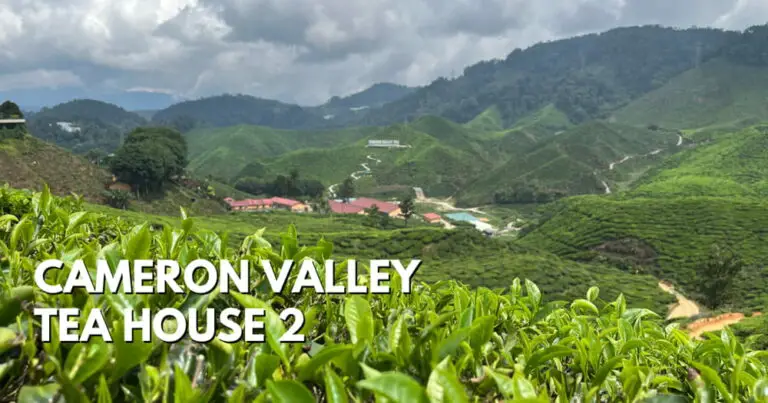 Cameron Valley Tea House 2 – Another Place To Enjoy A Tea Plantation