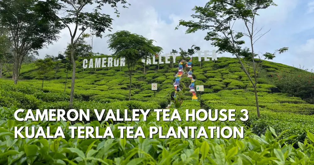 Cameron Valley Tea House 3, Kuala Terla Tea Plantation - Travelswithsun