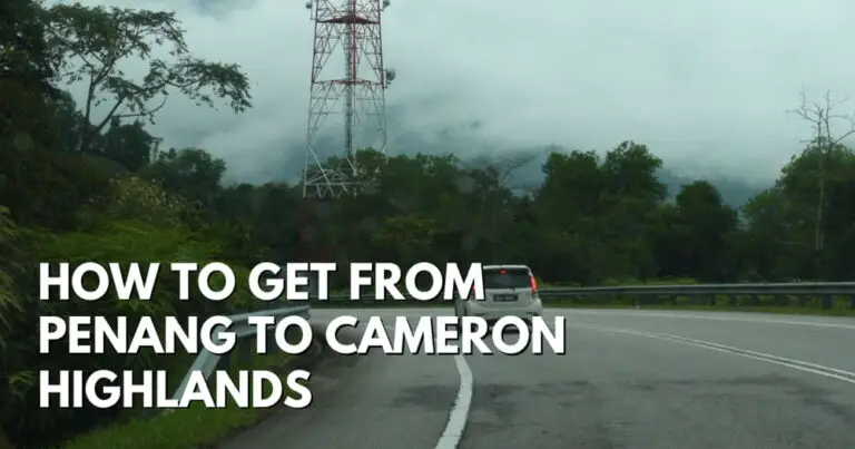 How To Get From Penang To Cameron Highlands - Travelswithsun