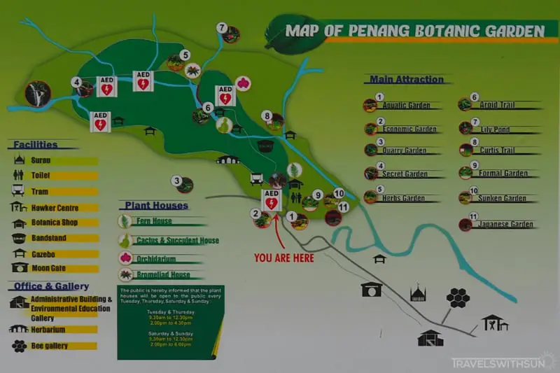 Penang Botanical Gardens - Visit The Green Lungs Of Penang!