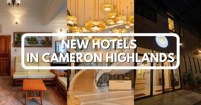 New Hotels In Cameron Highlands Travelswithsun 