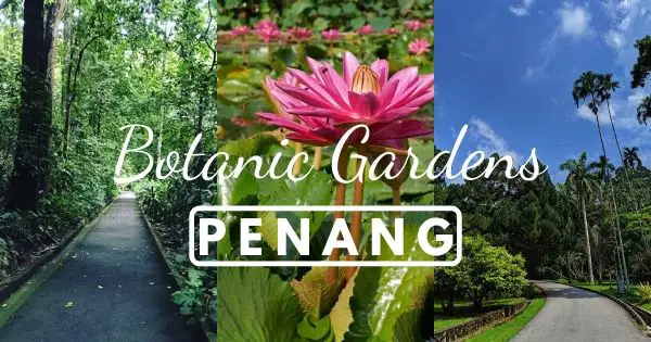 Penang Botanical Gardens Visit The Green Lungs Of Penang 2020