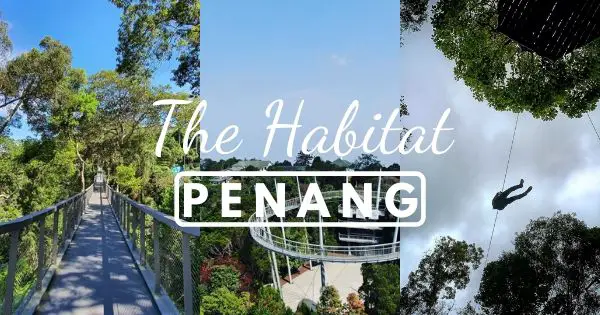 The Habitat Penang Hill 2020 Guide With Tips For Entrance Fee Discounts